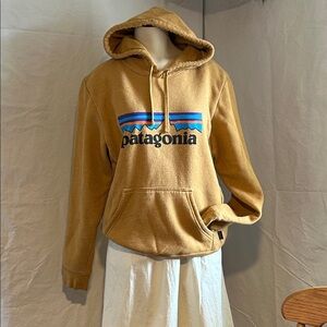 PATAGONIA FLEESE LINED HOODIE ORANGE SWEATSHIRT WOMENS SZ  S MENS SZ XS